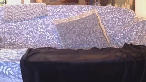 Gaz online show from 01.01.25