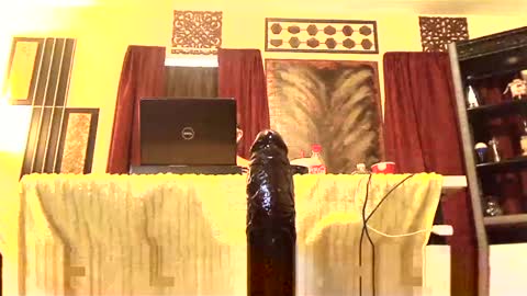 gatewaylaptop2019 online show from 03.02.25