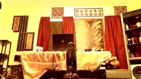 gatewaylaptop2019 online show from 03.09.25