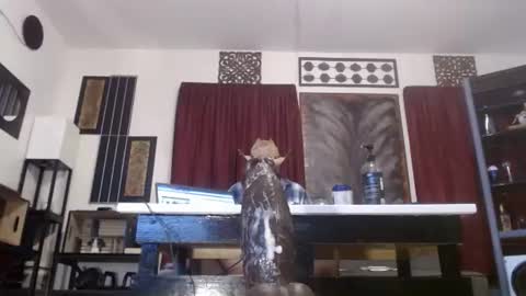 gatewaylaptop2019 online show from 04.09.26