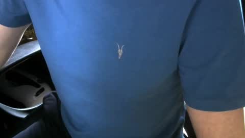 gay slave on cam online show from 12.21.25