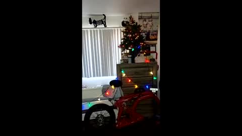 Zanecubano online show from 12.04.25