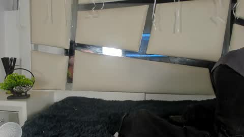 Genesis online show from 11.17.25