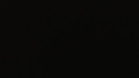 genitalwars online show from 12.22.25