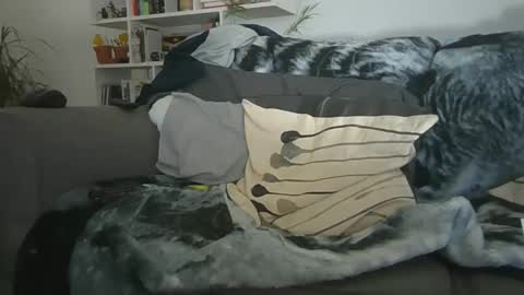 Snapshot of geon2xx chatting on 12.19.25 Geon online show from 12.19.25