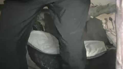 Geon online show from 02.01.26