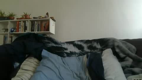 Snapshot of geon2xx chatting on 03.27.26 Geon online show from 03.27.26