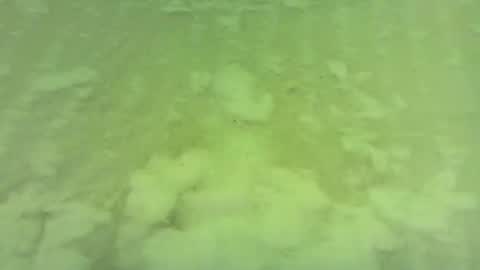 georgempt online show from 06.15.26