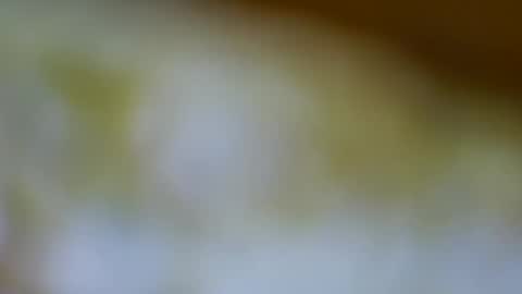 germanandy71 online show from 11.17.25