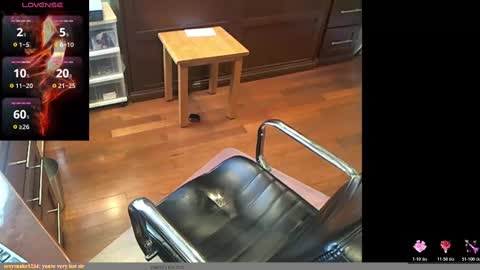 Snapshot of geronimo_431 chatting on 11.06.25 Daddy Jokes online show from 11.06.25