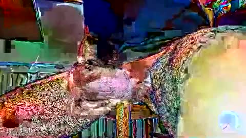 gertrude202 online show from 11.24.25