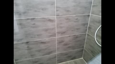 gescos online show from 01.26.25