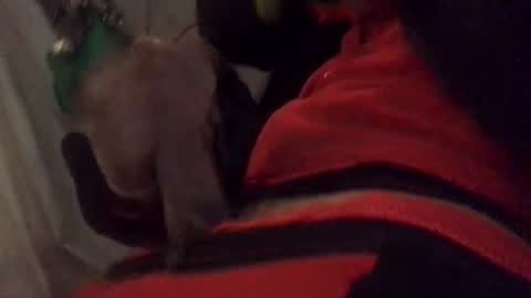 Snapshot of ghallofino26 chatting on 02.05.26 ghallofino26 online show from 02.05.26