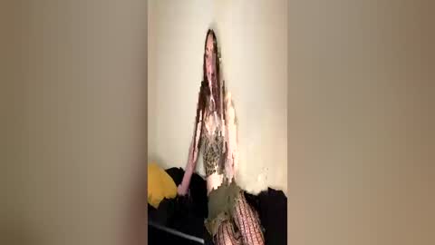 ghostpetal online show from 06.11.26