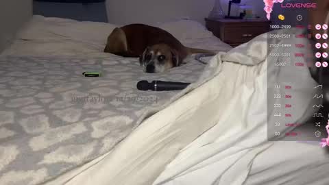 gigi online show from 12.29.24