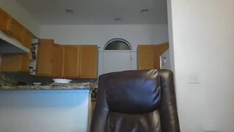 Snapshot of gildedsins1 chatting on 01.30.25 WildBoyVibes online show from 01.30.25