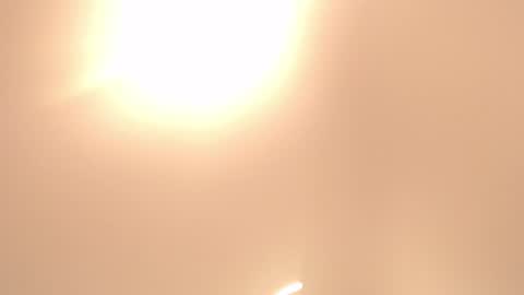 gingerfox_glow online show from 06.19.26