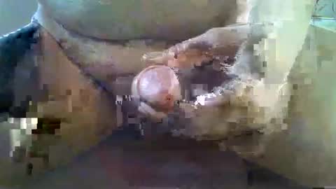 girafsnoop online show from 11.22.25