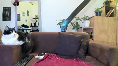 Snapshot of girasol1921 chatting on 12.29.24 girasol1921 online show from 12.29.24