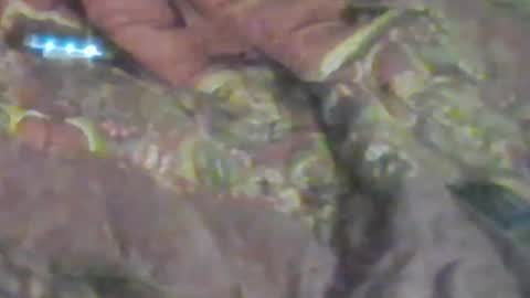 lovegirlscallme online show from 01.17.26