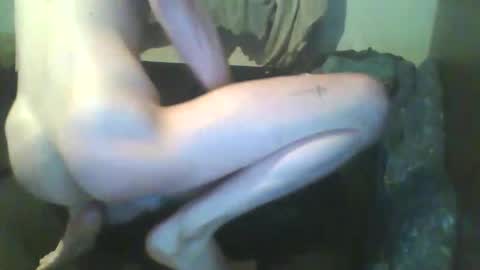 Snapshot of girthdoctor chatting on 12.03.25 girthdoctor online show from 12.03.25