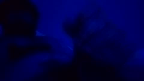 elen06 online show from 12.15.25