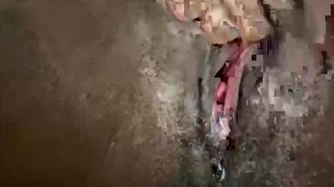 Snapshot of glazehoney chatting on 10.28.25 glazehoney online show from 10.28.25