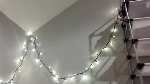 glizzy4u online show from 10.03.25