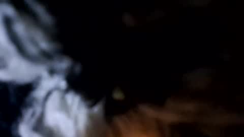 glizzy4u online show from 12.19.25