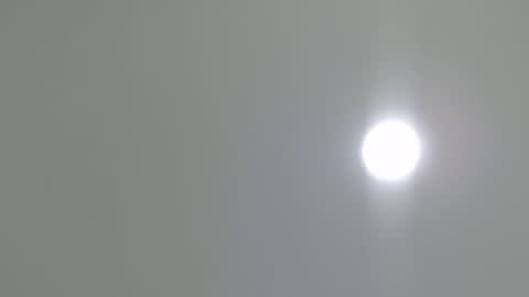 goath_08 online show from 02.07.25