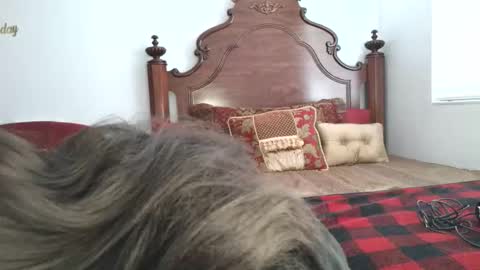 Xandra The Goddess online show from 03.19.26