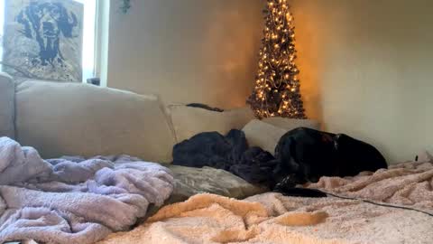 Snapshot of goddessmayvn chatting on 01.10.25 GoddessMayvn online show from 01.10.25