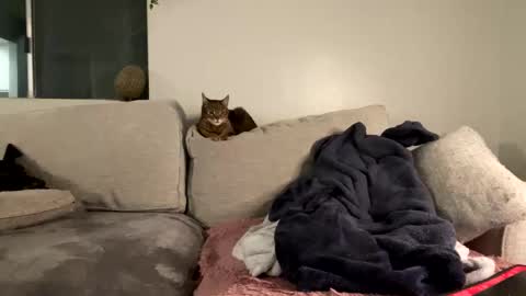 Snapshot of goddessmayvn chatting on 02.08.25 GoddessMayvn online show from 02.08.25