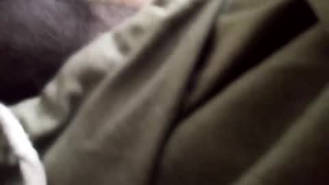 Snapshot of goodfucker3252 chatting on 01.05.25 Arab Pronstar online show from 01.05.25