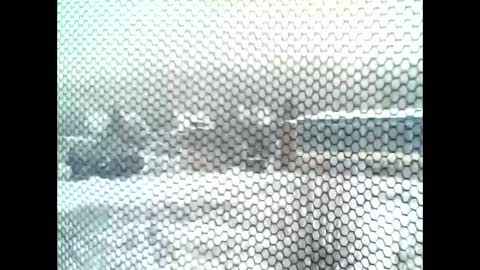 google5001 online show from 01.11.26