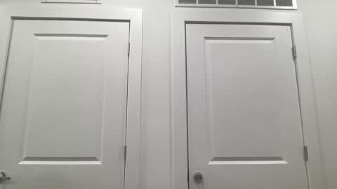 grace bailey online show from 02.04.26