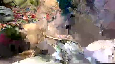 Lisa online show from 01.07.25