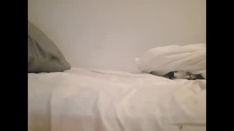 Snapshot of greekprince77 chatting on 03.02.26 greekprince77 online show from 03.02.26