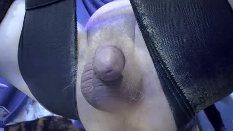 electrogee1 online show from 02.25.25