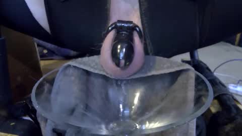 electrogee1 online show from 02.22.26