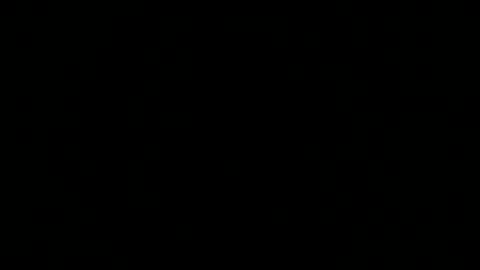       2 online show from 12.27.24