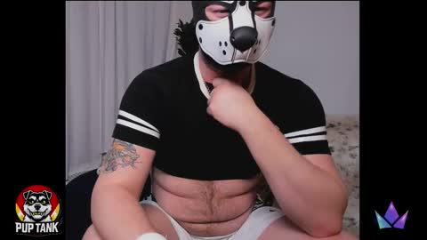 Snapshot of growingcub94 chatting on 12.15.25 Alpha pup online show from 12.15.25