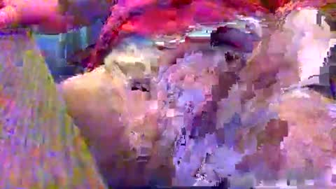 Gary online show from 12.12.24