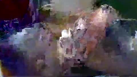 Snapshot of gtnolder60 chatting on 01.18.26 Gary online show from 01.18.26