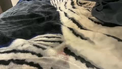 Snapshot of gumbywanna chatting on 10.24.25 gumbywanna online show from 10.24.25