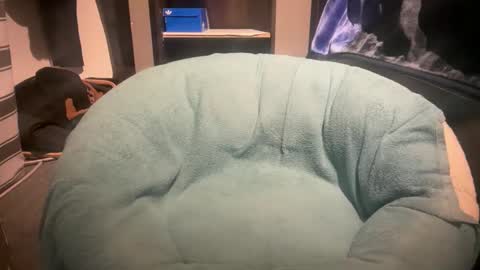 gumbywanna online show from 01.06.26