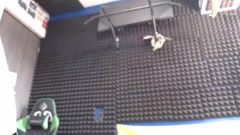 Gymbro42 online show from 08.07.26