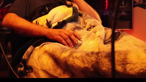 h0tttsteel online show from 12.18.24