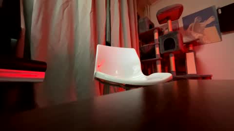 haildave6 online show from 04.26.26