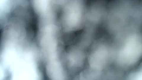 tatted blonde online show from 01.17.25